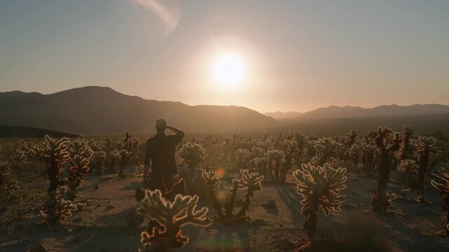 A silhouetted figure stands amid a cholla cactus garden as the sun rises over distant mountains.