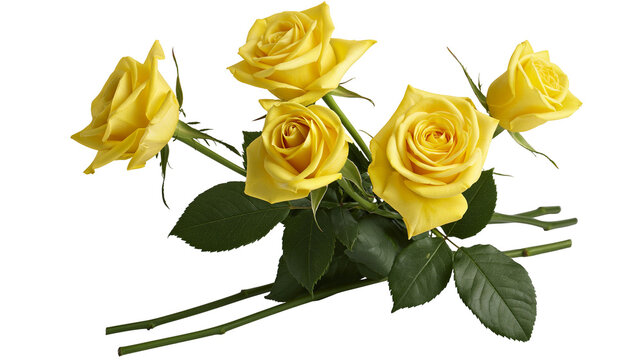 Yellow roses with green leaves and stems