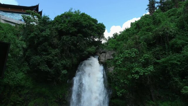 Waterfall in lush green forest