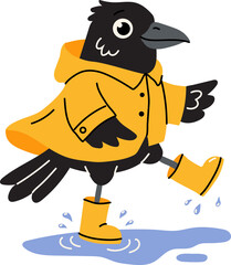 Obraz premium Adorable Crow Stepping Through Blue Puddle