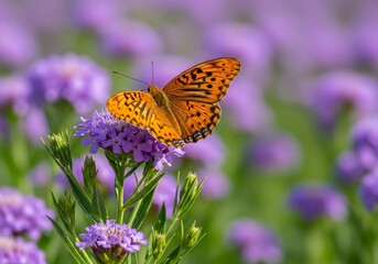 Naklejka premium Vibrant Orange Butterfly Perched on a Delicate Purple Flower in a Field.