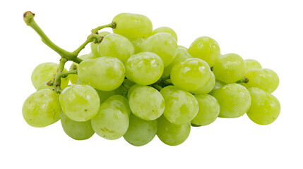 Green grapes on vine stem © Lyra