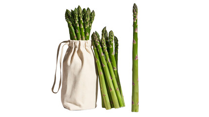 Fresh green asparagus spears in a cloth bag and standing upright © Lyra
