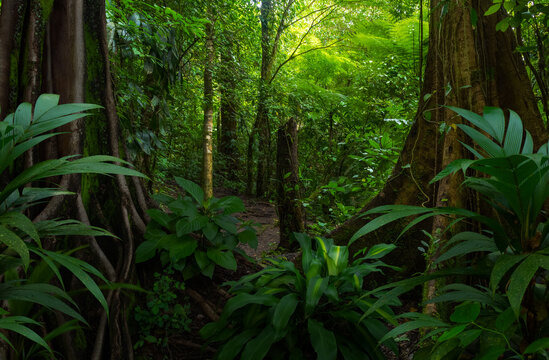 Costa Rica 1