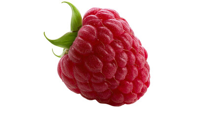 Single ripe red raspberry with green leaves © Peregrine
