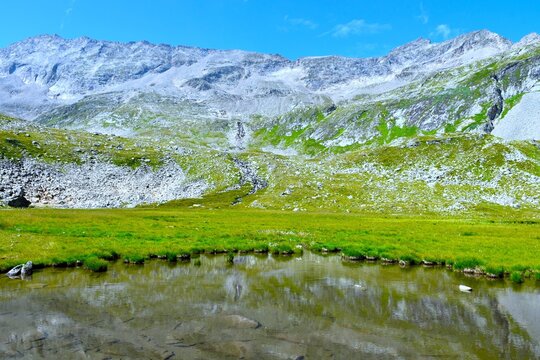 Moorland at the shore of Unterer Lanischsee lake bellow the mountains in P&ouml;llatal valley in High Tauern, Carinthia, Austria