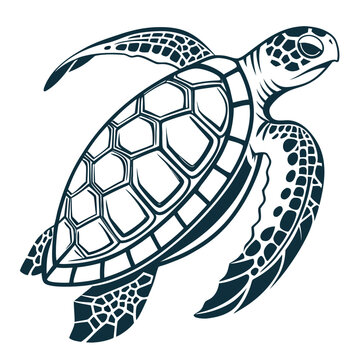 Graphic illustration of a sea turtle swimming with wildlife swimming underwater creature