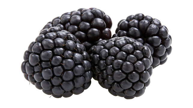 Group of ripe blackberries with textured drupelets