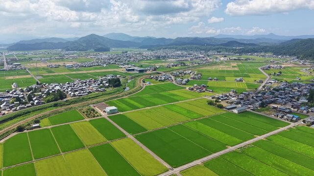 ドローンで撮る日本の風景　緑豊かな夏の田園風景と集落　広大な田畑を見渡す高高度からの前進カーブ空撮