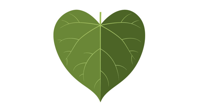 Heart Shaped Green Leaf Vector Illustration on White Background