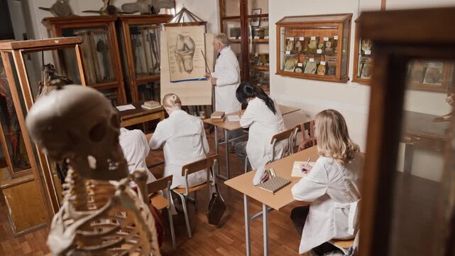 Senior Caucasian professor lecturing young female medical students on knee anatomy from high angle. Footage is perfect for healthcare training programs and university marketing campaigns