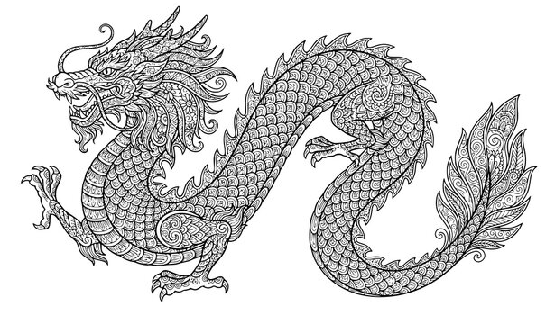 Intricate dragon adult coloring book page with detailed mandala and zentangle patterns on white background line art vector illustration for stress relief