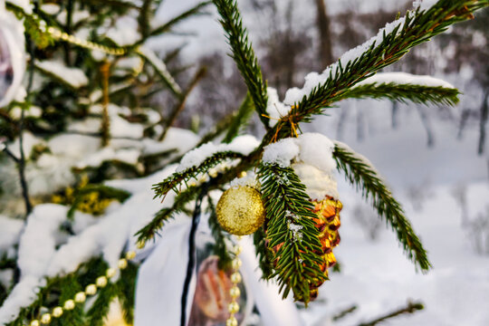 A tree stands in the snow decorated with ornaments and a pine cone. It is wintertime and the landscape is covered in white snow