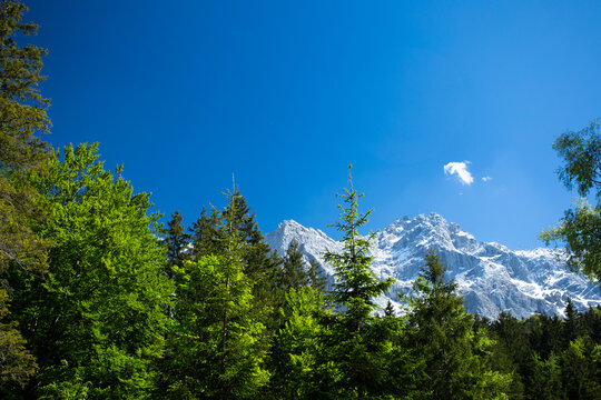 Travel landscape of Zugspitze Alps in Bavaria Germany, scenic summer nature panorama with forest, snow mountains peak. Alpine landscape