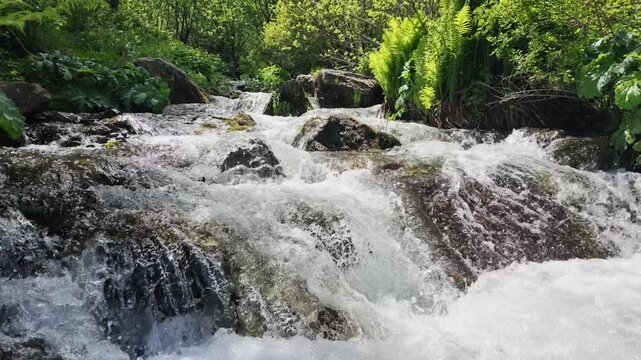 rushing mountain stream cascading over dark mossy rocks in a lush green forest, refreshing natural environment, clear water flowing, spring atmosphere, peaceful wilderness, serene nature background