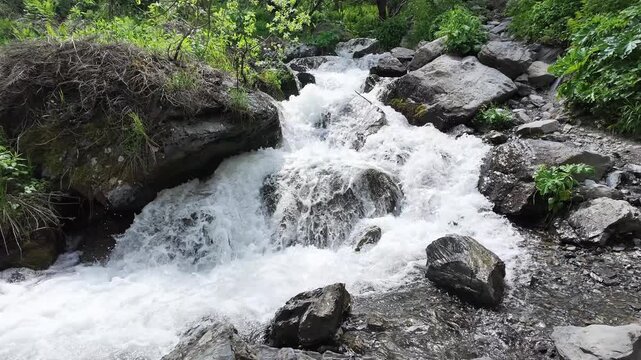 Fast flowing mountain stream cascading over dark rocks in a lush green forest, natural waterfall motion, peaceful nature scene for relaxation and meditation, environment background