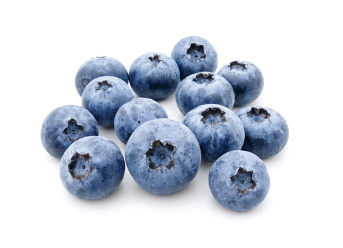 Blueberries isolated on white background.