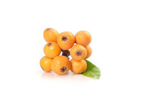 Fresh Sweet Loquat Fruits from Panzhihua Miyi Alpine Region with Green Leaf