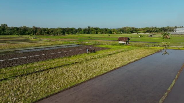 Aerial view of Jalan Bibis rice fields with a farmer using a tractor to plow the soil under a clear blue sky in Kecamatan Kasihan, Daerah Istimewa Yogya, Indonesia.