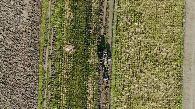 Aerial view of a farmer using a hand tractor to cultivate a rice field near Jalan Bibis in Kecamatan Kasihan, Daerah Istimewa Yogya, Indonesia.