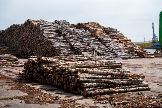 View of large piles of birch logs stacked at the Port of Ventspils with industrial cranes in the background in Ventspils, Ventspils Municipalit, Latvia.