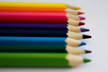 Fototapeta premium colored pencils in a row on white background