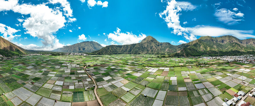 Aerial view of the Sembalun valley featuring a vibrant patchwork of agricultural fields surrounded by lush mountains under a bright blue sky in Sembalun, West Nusa Tenggara, Indonesia.