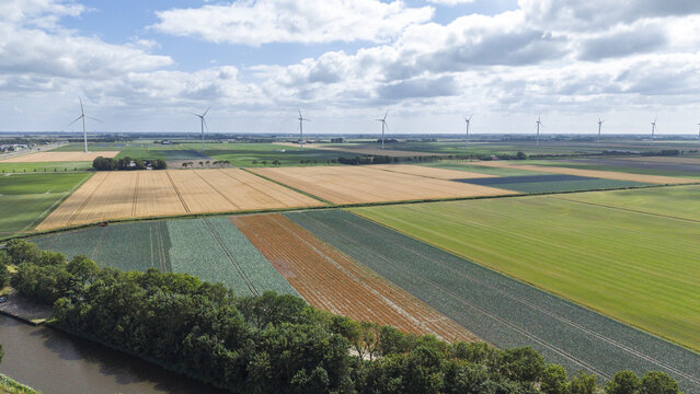 Aerial view of the agricultural landscape featuring vast fields of crops, wind turbines, and a canal in Middenmeer, North Holland, Netherlands.