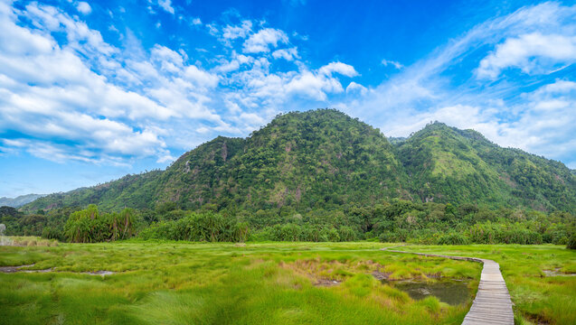View of the wooden boardwalk leading through the lush green landscape of Semuliki National Park with mountains in the background in Bundibugyo, Western Region, Uganda.