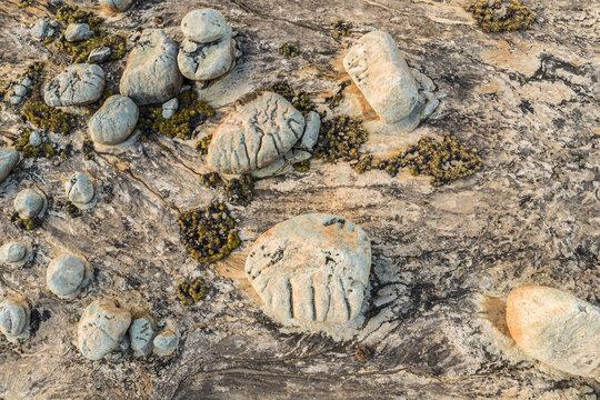 Aerial view of the unique granite rock formations at Lajedo de Pai Mateus, featuring weathered boulders and patches of moss on the textured stone surface in Cabaceiras, Paraiba, Brazil.
