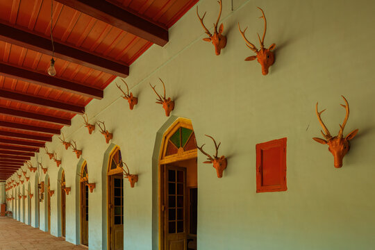 View of a long corridor with arched doorways, a red wooden ceiling, and multiple deer head mounts displayed on the light-colored wall in Hyderabad, Sindh, Pakistan.