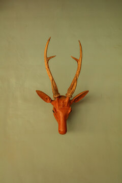 View of a deer head sculpture mounted on a plain wall in Hyderabad, Sindh, Pakistan.