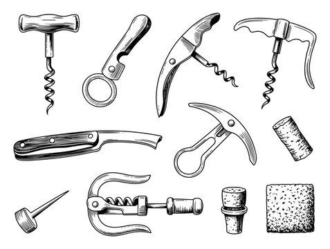 Collection of various wine corkscrews and bottle openers displayed in an artistic sketch style against a white background