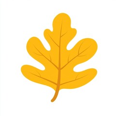 Fototapeta premium Yellow rounded oak leaf illustration autumn fall.