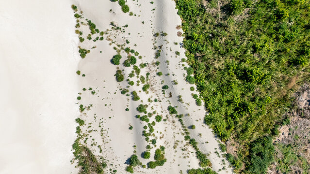 Aerial view of sandy terrain with scattered green shrubs and vegetation bordering a lush green area in Novi Sad, Vojvodina, Serbia.