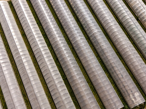 Aerial view of a large greenhouse complex with rows of plastic tunnels for agricultural production in Mediglia, Lombardy, Italy.