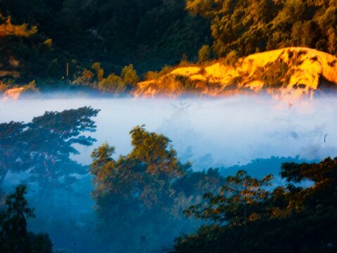 View of the misty hills of Nhila in Teknaf, with lush green trees and golden sunlight illuminating the upper slopes in Cox's Bazar, Chittagong Division, Bangladesh.