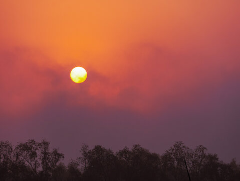 View of the sun setting behind silhouettes of trees in the hazy sky in Cox's Bazar, Chittagong Division, Bangladesh.