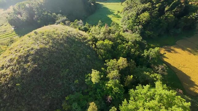 FPV aerial view of the iconic Chocolate Hills landscape featuring lush green conical mounds and tropical vegetation in Batuan, Central Visayas, Philippines.