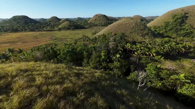 FPV aerial view of the iconic Chocolate Hills with grassy conical mounds and lush tropical vegetation in Batuan, Central Visayas, Philippines.