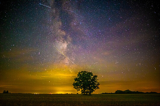 View of the Milky Way galaxy and shooting stars illuminating the night sky above a lone tree in a field in Latvia.