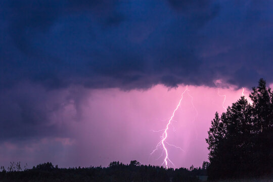 View of a powerful lightning strike illuminating the dark, stormy sky above a silhouette of trees in Latvia.