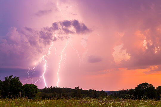 View of a dramatic lightning strike illuminating a vibrant purple and pink sunset sky over a field and dark silhouettes of trees in Latvia.