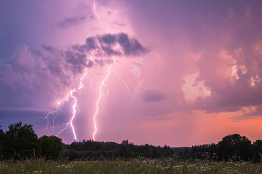 View of lightning strikes illuminating a purple and pink stormy sky over a rural field with dark silhouettes of trees in Latvia.