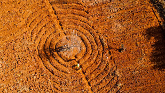 Aerial view of circular ploughed patterns in a field with a central tree and people working in the reddish soil of Kajiado County, Kenya.