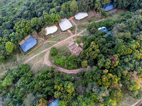 Aerial view of Maasai Mara National Reserve safari camp nestled within lush forest with canvas tents, dirt paths, and a central outdoor seating area in Kenya.