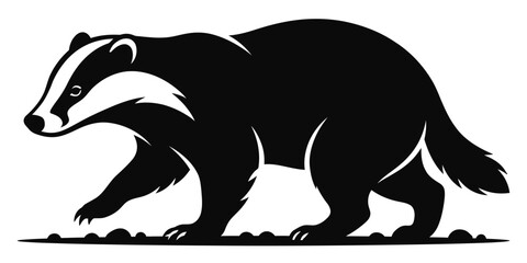 Badger walking isolated on white background © creativesabbir