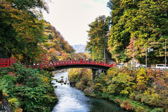 Nikko, Tochigi, Japan - 02 November 2025: View of the iconic red Shinkyo Bridge spanning the Daiya River, surrounded by vibrant autumn foliage and lush forest in Nikko.