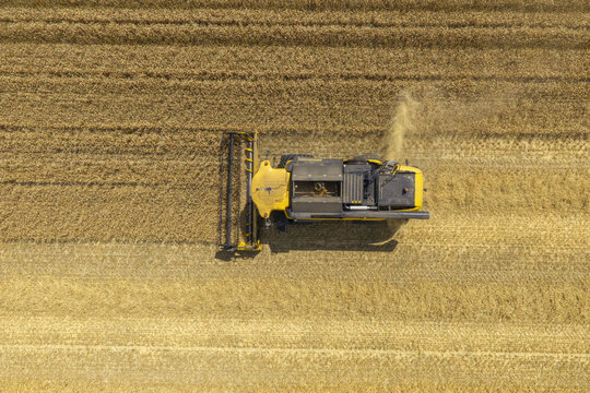 Aerial view of a combine harvester working in a golden wheat field during the grain harvest in the Netherlands.