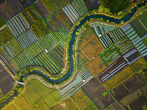 Aerial view of Sraten Enam agricultural fields with a winding river and lush green rice paddies in Tuntang, Central Java, Indonesia.